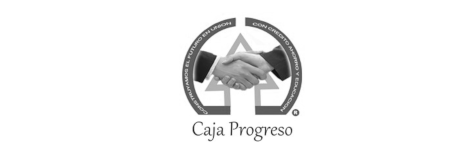 Progreso de Vicente Guerrero,  S. C. de A. P. de R. L. de C. V.